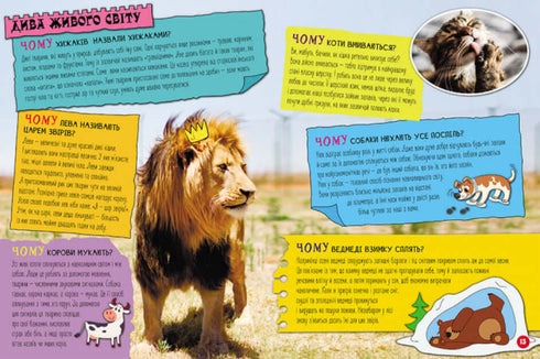 100 antwoorden op de vraag WAAROM?