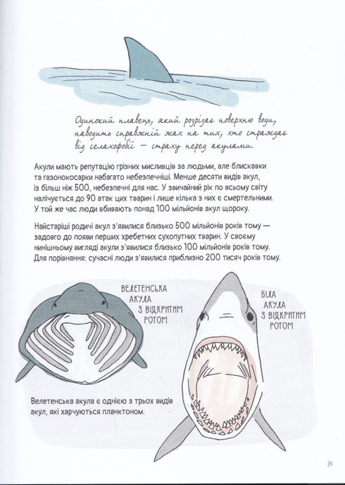 Anatomy of the Ocean. Incredible Places and Parts of the World Hidden Underwater