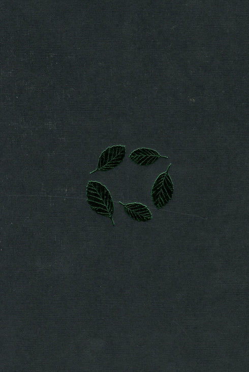 Beuken aarde - 9786175851791