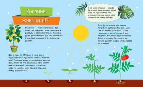 Waarom ben je zo schattig? Planten