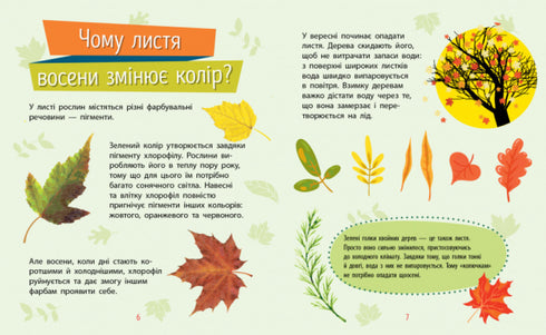 Waarom ben je zo schattig? Planten