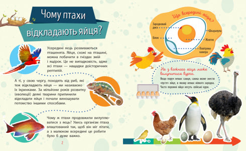 Pourquoi es-tu si mignon ? Animaux