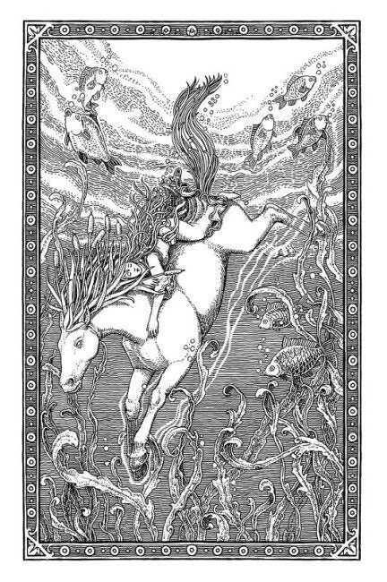 Fantastische beesten en waar je ze kunt vinden. Newt Scamander