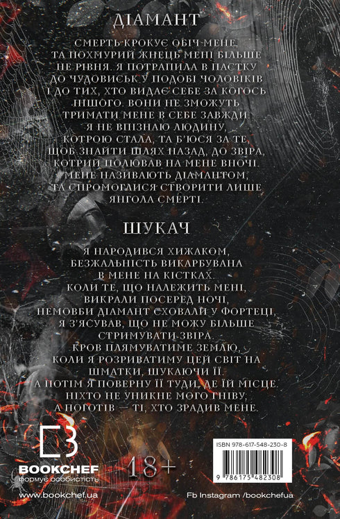 Een kat-en-muisspel. Boek 2: De jacht op Adelina