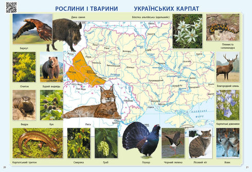 Ik verken de wereld. 3e leerjaar. Atlas - 9786170962454