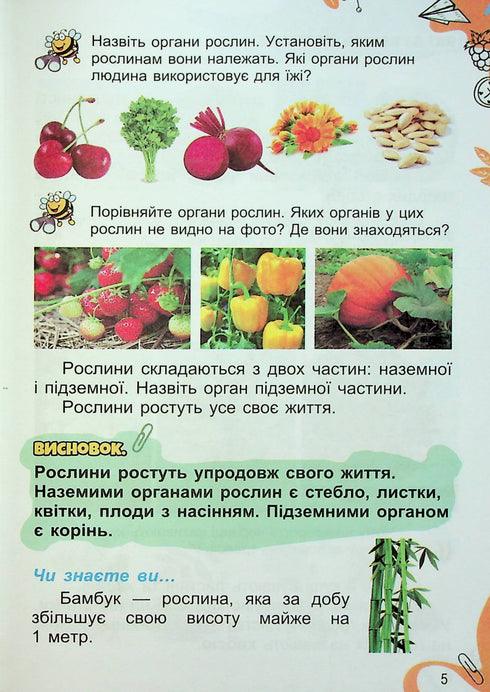 J'explore le monde. Manuel pour la 1ère année Ch2 2023 (NUSH) - 9789661109246