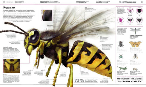 Encyclopedie van kennis - 9786170989451