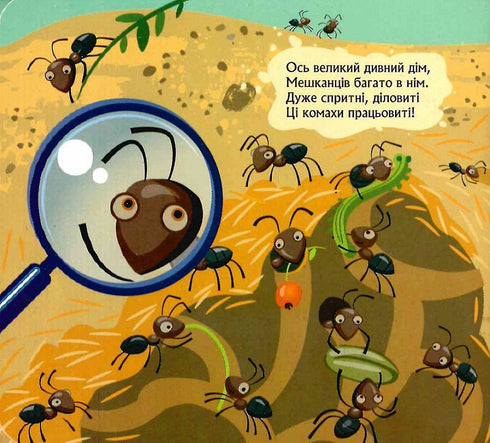 Wie heeft zich onder de grond verstopt