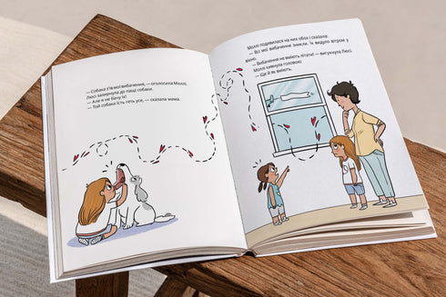 Een verontschuldigingsvliegtuig