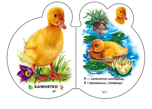 Малята. У селі