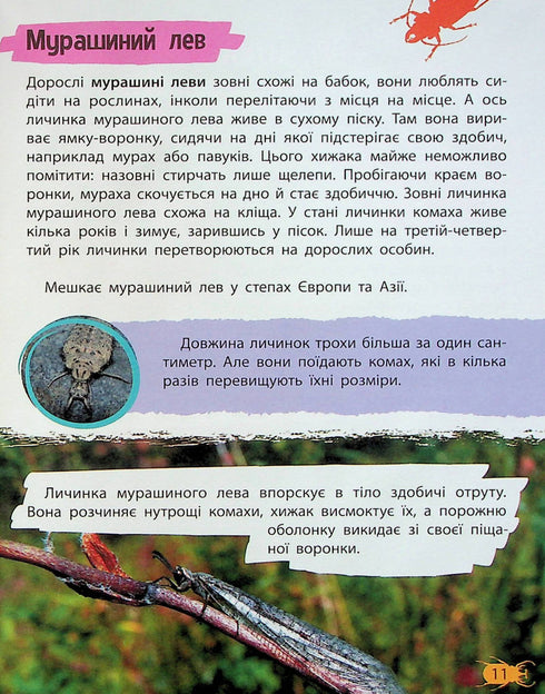 Mini-encyclopedie. Insecten en spinnen