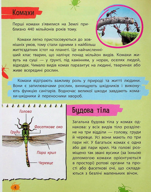 Mini-encyclopedie. Insecten en spinnen