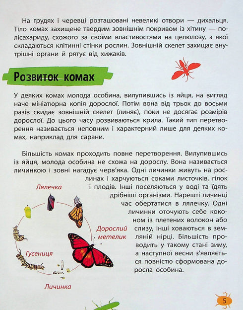 Mini-encyclopedie. Insecten en spinnen