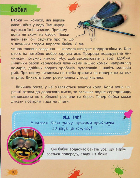 Mini-encyclopedie. Insecten en spinnen