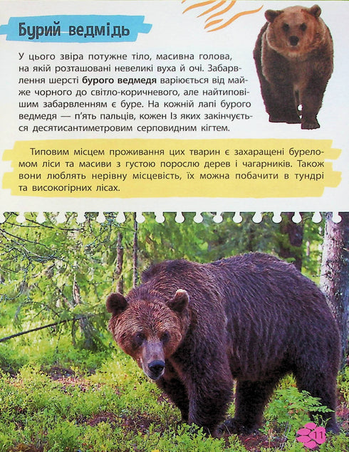 Mini-encyclopedie. Dierenwereld