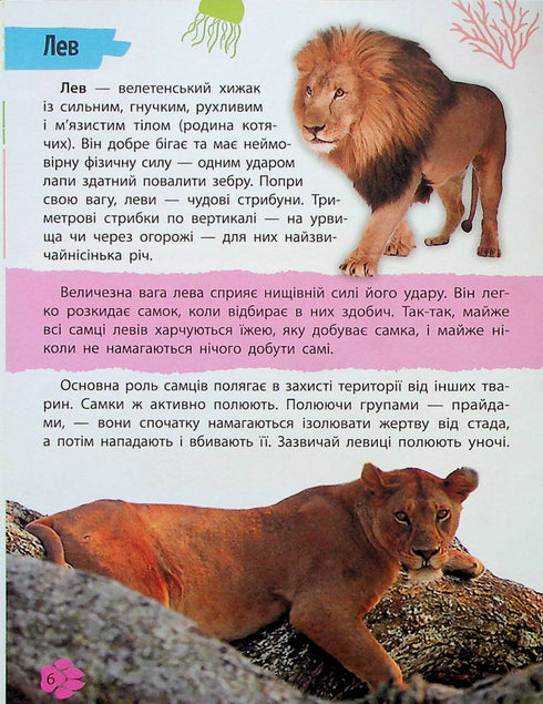 Mini-encyclopedie. Dierenwereld