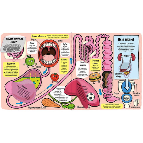 Mon corps incroyable. Petits explorateurs