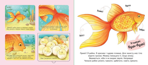 Mijn favorieten - 9789667511920
