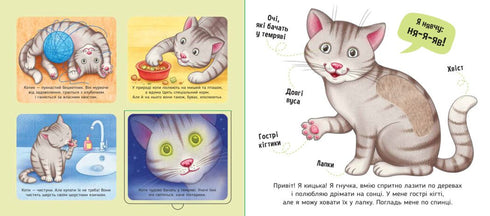 Mijn favorieten - 9789667511920