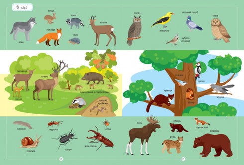 Le meilleur dictionnaire des animaux