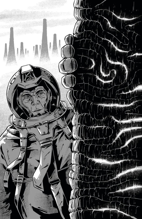 Nieuwe Donkere Middeleeuwen. Boek 2. Inzinking - 9786178509132