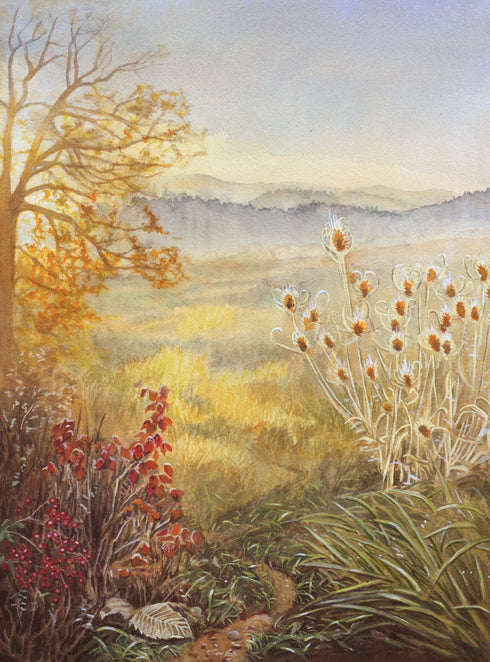 Noël dans la Clairière Forestière