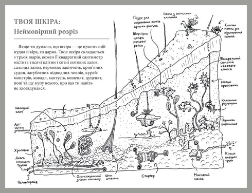 Qu'est-ce que c'est que cet organe ? Un manuel idiot sur l'anatomie de ton corps.