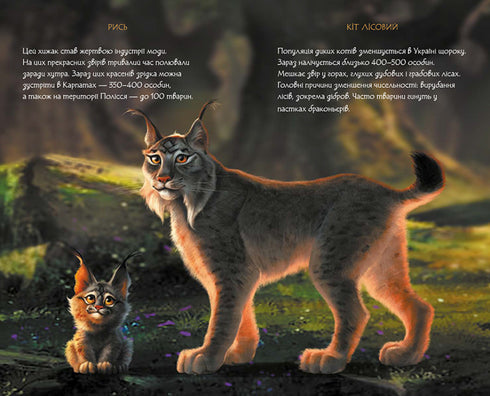 Dagboek van de Mavka. Bos