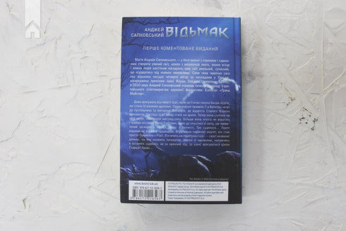 The Witcher. De zwaluwentoren. Boek 6