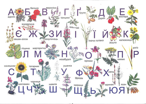 voorstrijkmiddel. Leerboek voor het 1e leerjaar