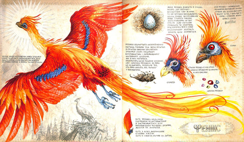 Harry Potter en de Geheime Kamer. Een grote geïllustreerde uitgave. Boek 2 (Oekraïense uitgave)