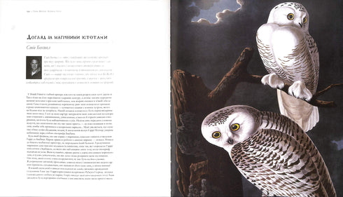 Harry Potter. The History of Magic