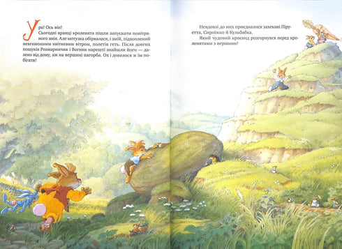 Groot boek met konijnenverhalen (zomerband)