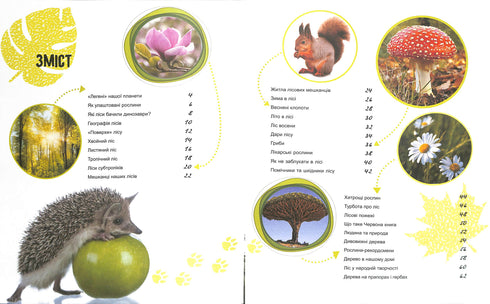 Le monde et ses mystères : La vie de la forêt