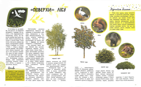 Le monde et ses mystères : La vie de la forêt