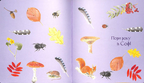 Expédition avec la fourmi Sophie. Explorons la nature qui nous entoure.