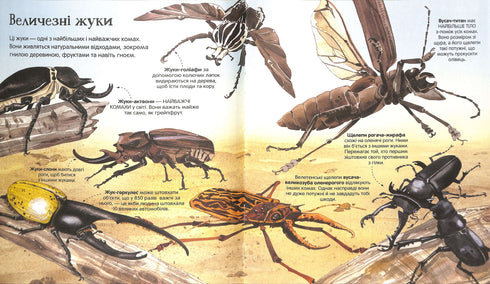 The Great Book of Insects and More