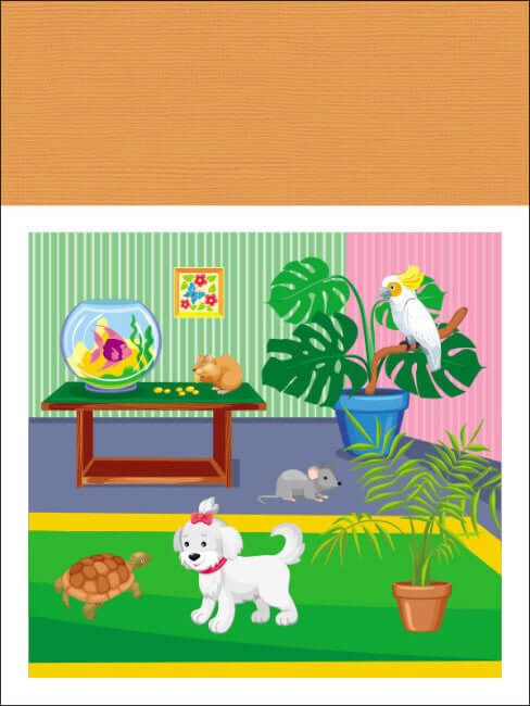 Applications. Niveau 1. Découpage de carrés, de rectangles