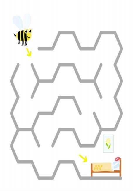 Багаторазові лабіринти. Їжачок