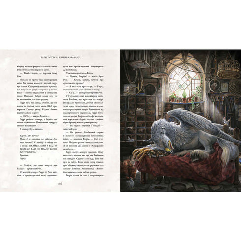 Harry Potter à l'école des sorciers. Grande édition illustrée. Tome 3 (édition ukrainienne)