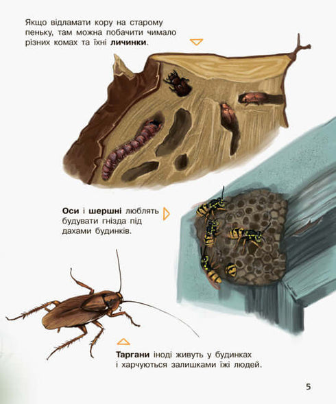 Encyclopédie du préscolaire. Insectes