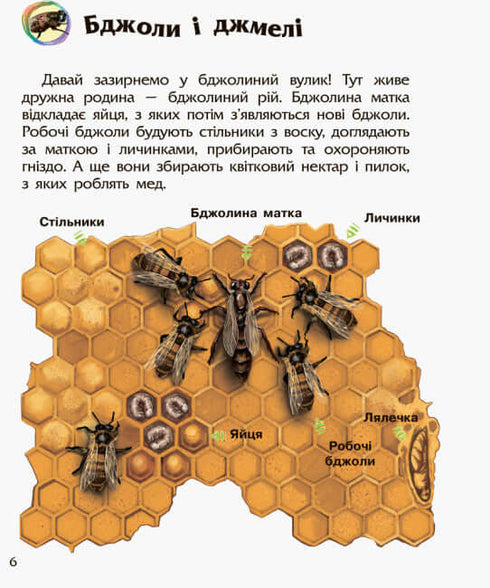 Encyclopédie du préscolaire. Insectes