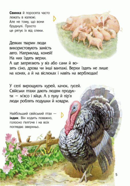 Encyclopedie van een kleuter. Dieren