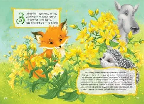 Квіткова абетка