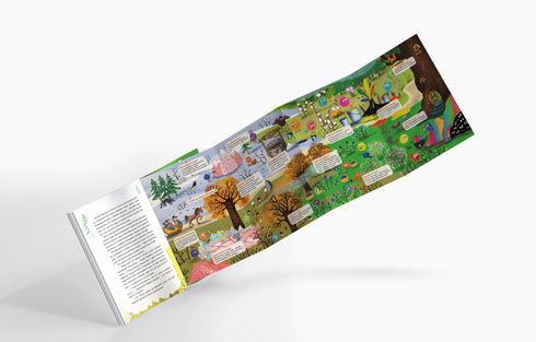 Різдвяник і таємниця чарівної долини