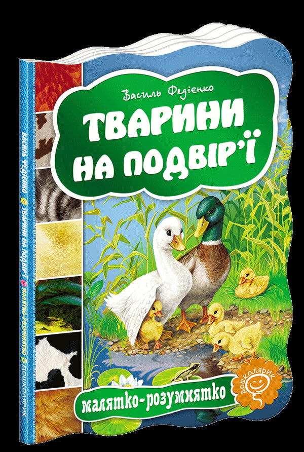 Les animaux dans la cour