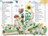 Le grand livre des fleurs (tirage épuisé)